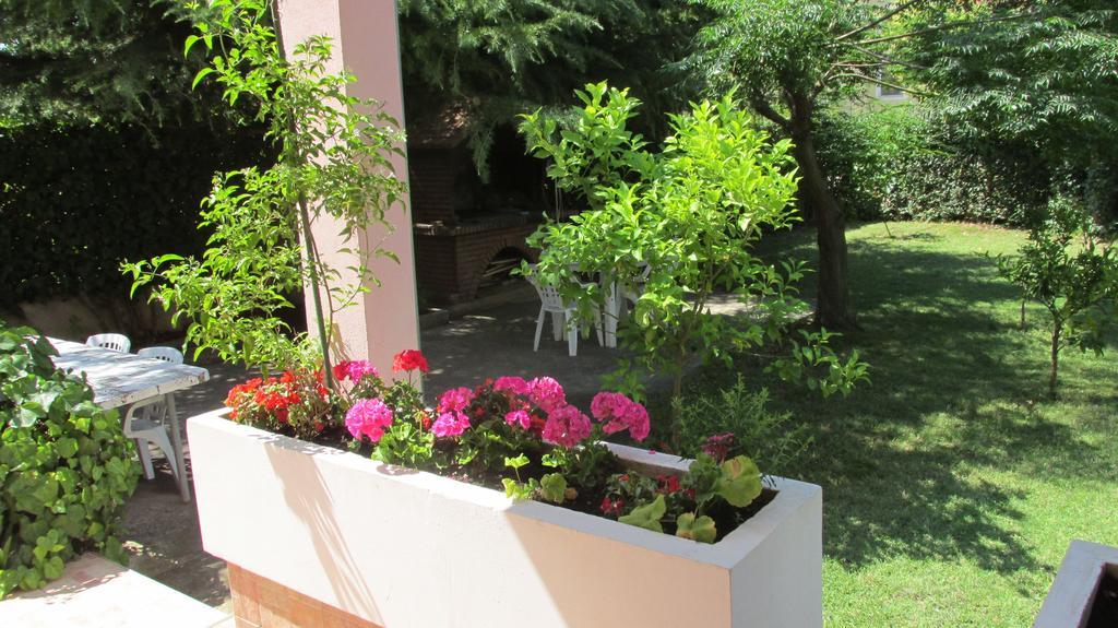 Apartment Stela Bibinje Szoba fotó